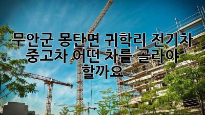 무안군 몽탄면 귀학리 전기차 중고차, 어떤 차를 골라야 할까요?